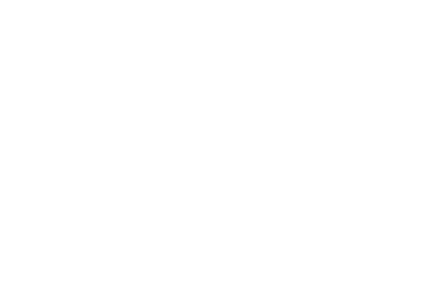 Christiane Schleiffer